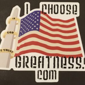 Car/Truck vinyl stickers LARGE